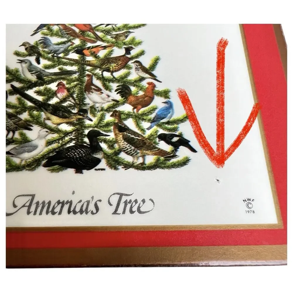 Pimpernel Americas Tree State Birds Coaster Set 6 Christmas 1978 Box Festive Vtg